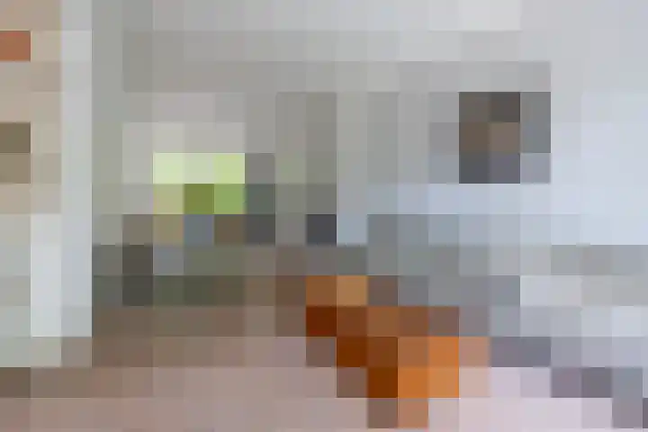 Graaf Janlaan 84 Zeist thumbnail 6