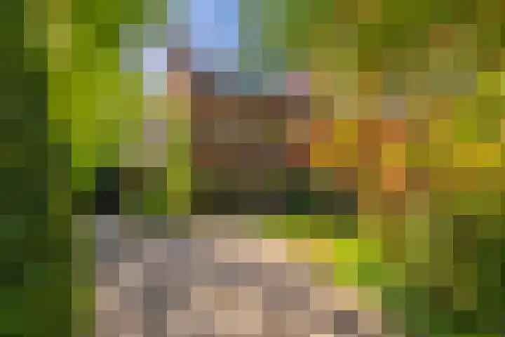 Graaf Janlaan 84 Zeist thumbnail 62