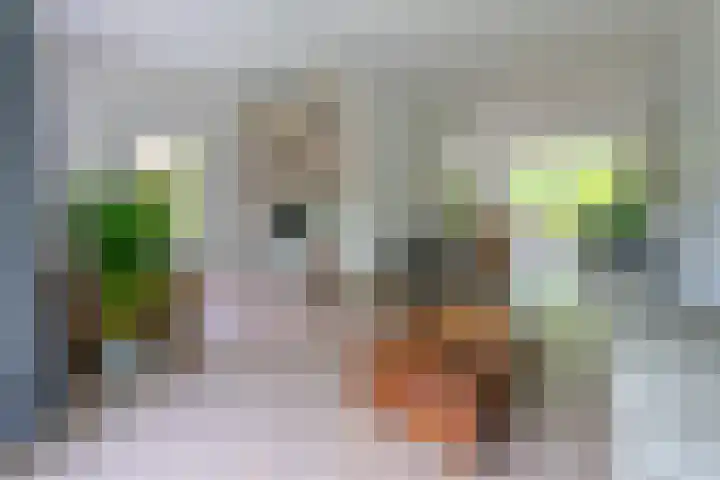 Graaf Janlaan 84 Zeist thumbnail 7