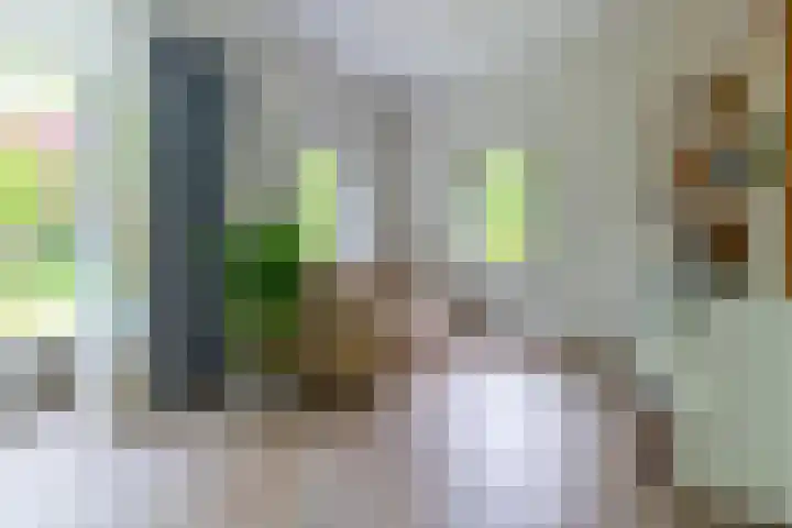 Graaf Janlaan 84 Zeist thumbnail 8