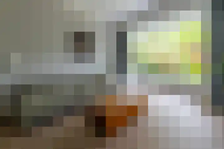 Graaf Janlaan 84 Zeist thumbnail 9