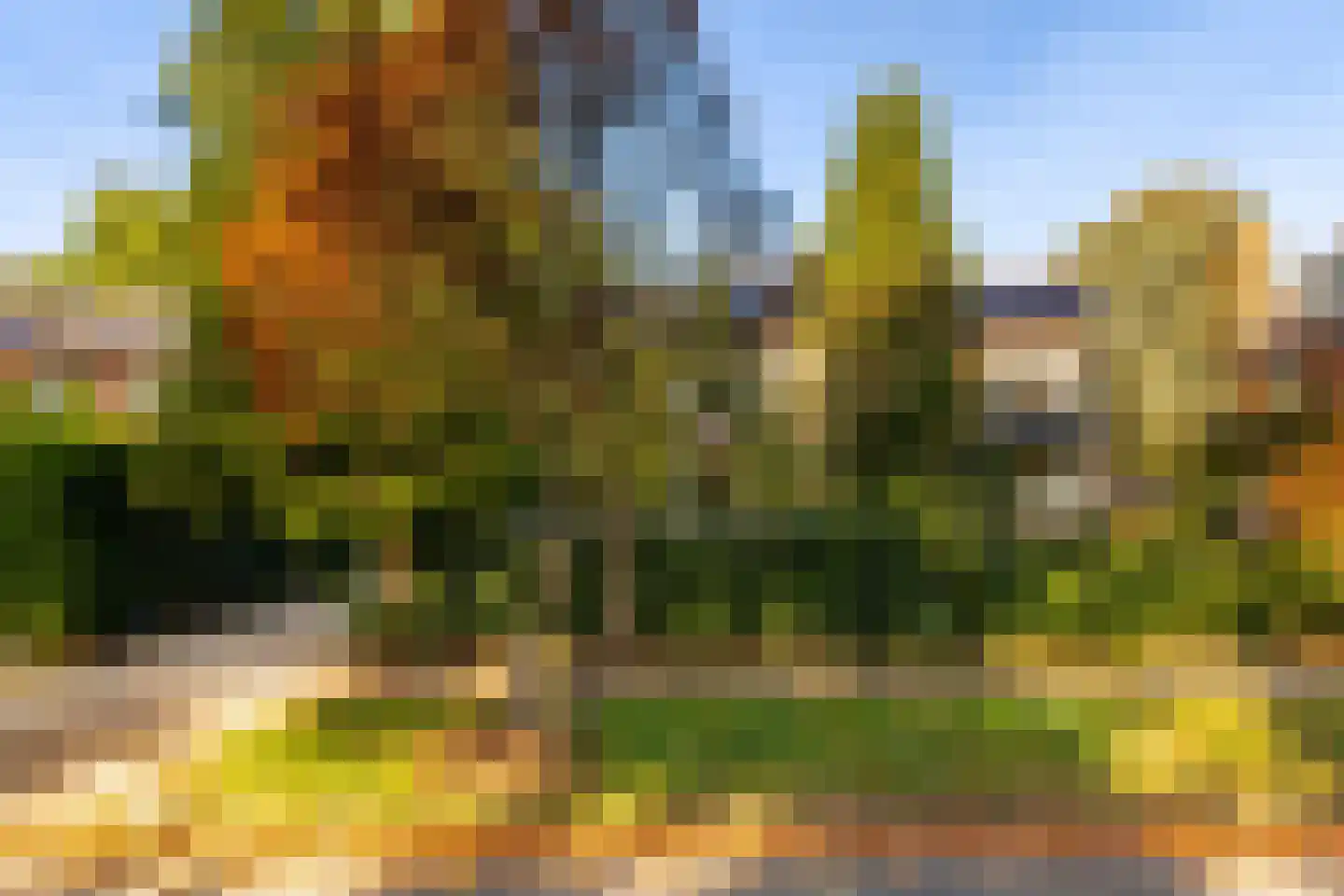 Graaf Janlaan 89 Zeist thumbnail 12