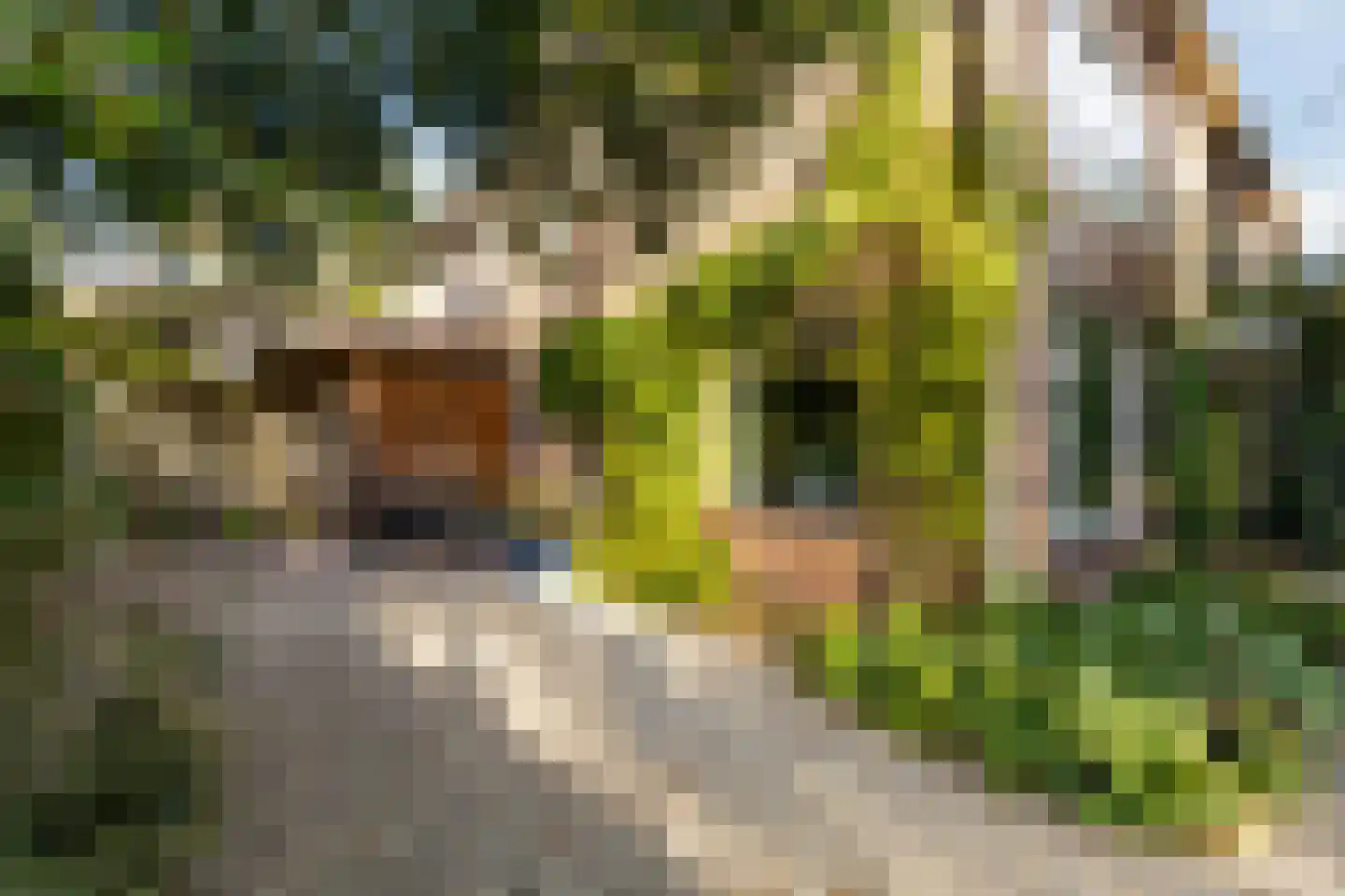 Graaf Janlaan 89 Zeist thumbnail 14