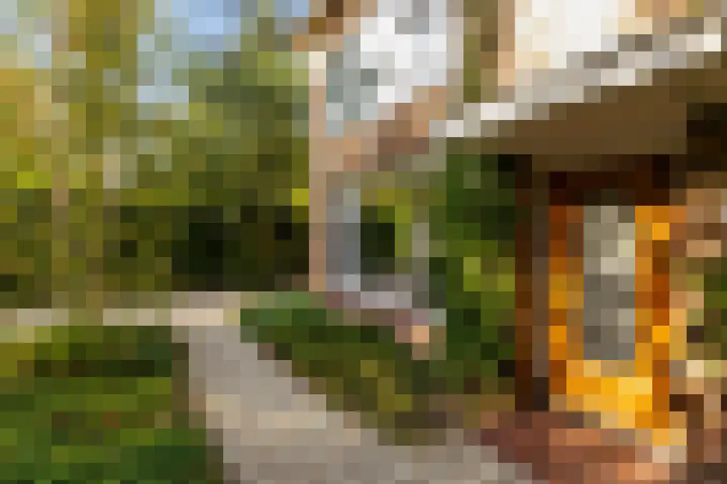 Graaf Janlaan 89 Zeist thumbnail 15