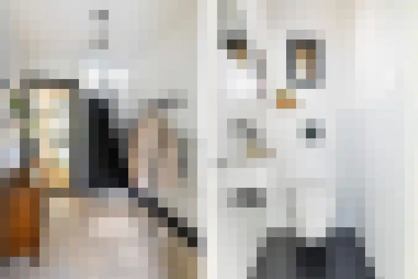 Graaf Janlaan 89 Zeist thumbnail 16