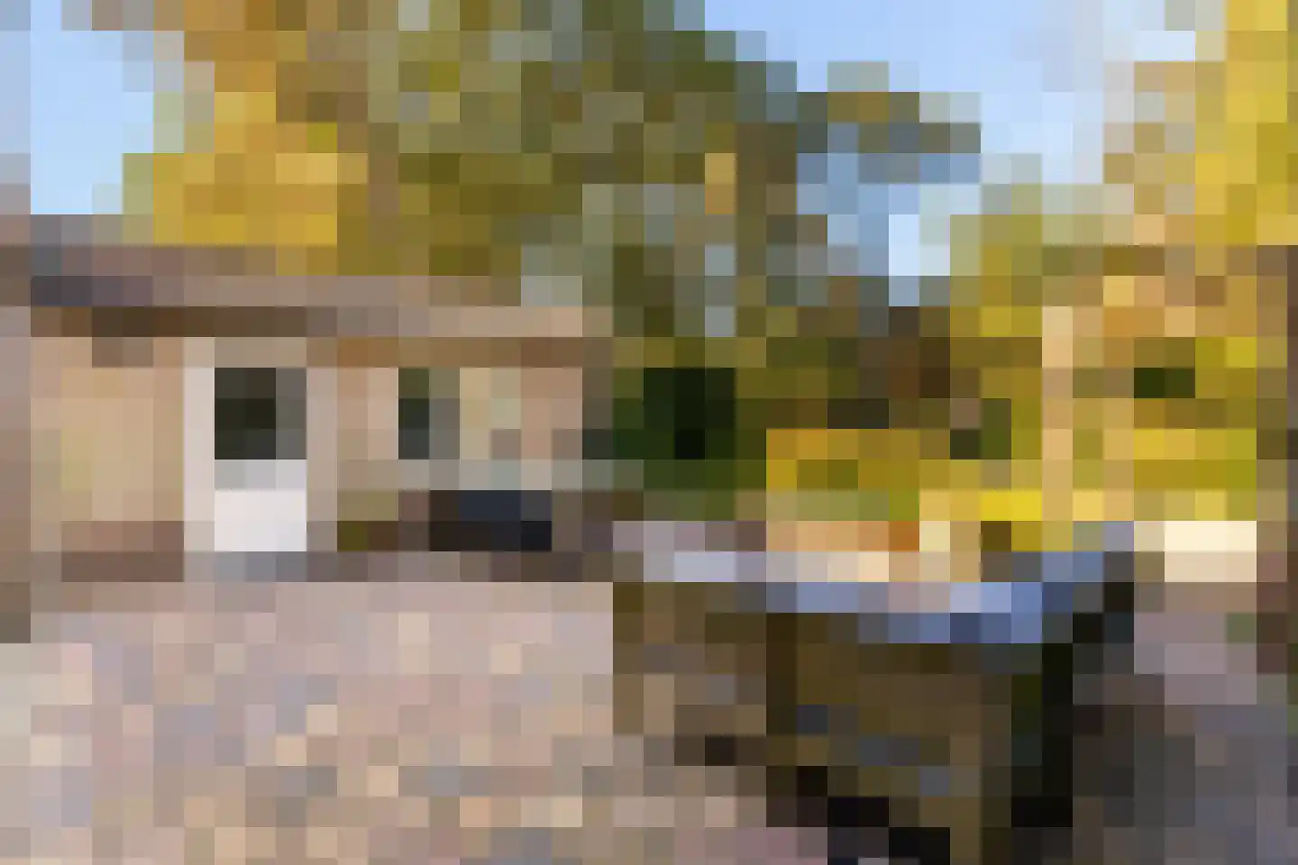 Graaf Janlaan 89 Zeist thumbnail 31