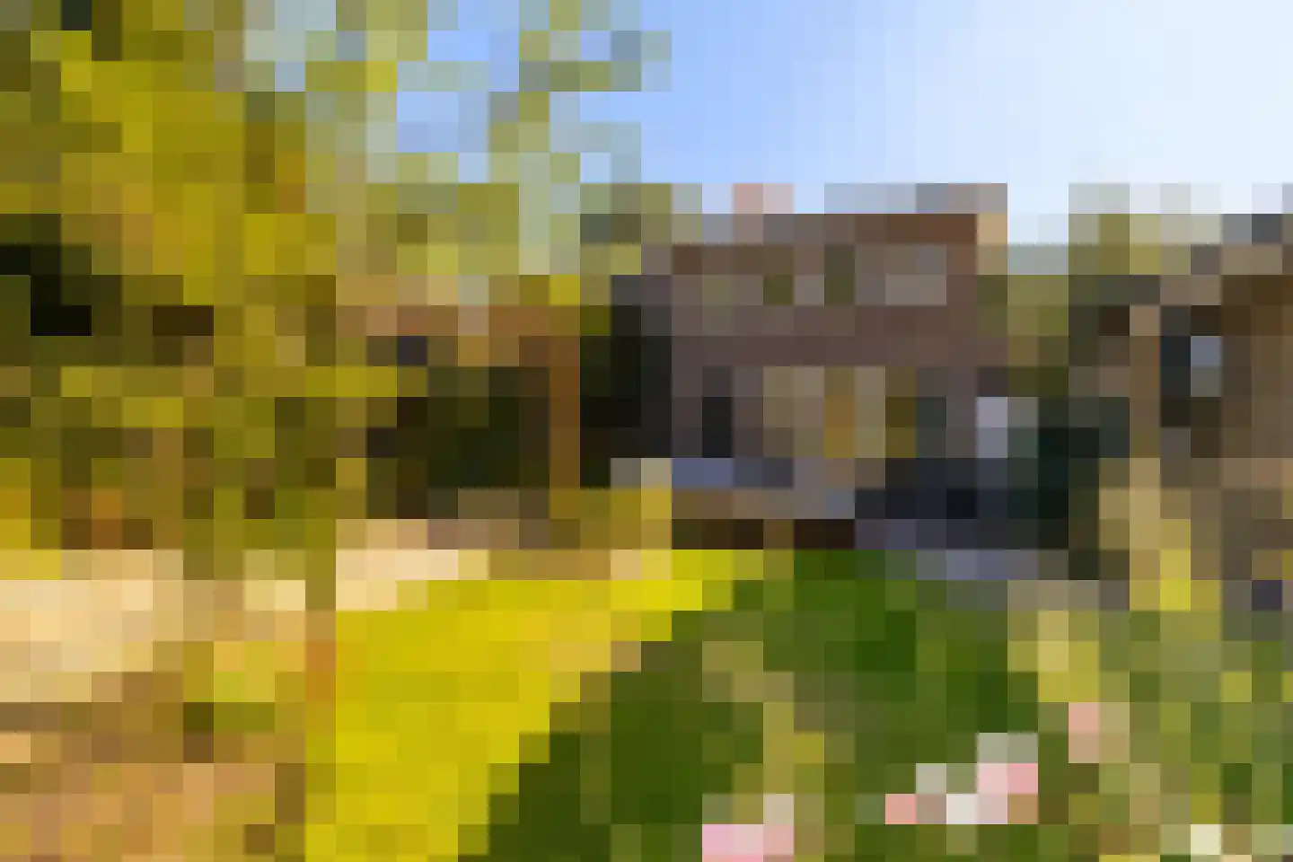 Graaf Janlaan 89 Zeist thumbnail 33