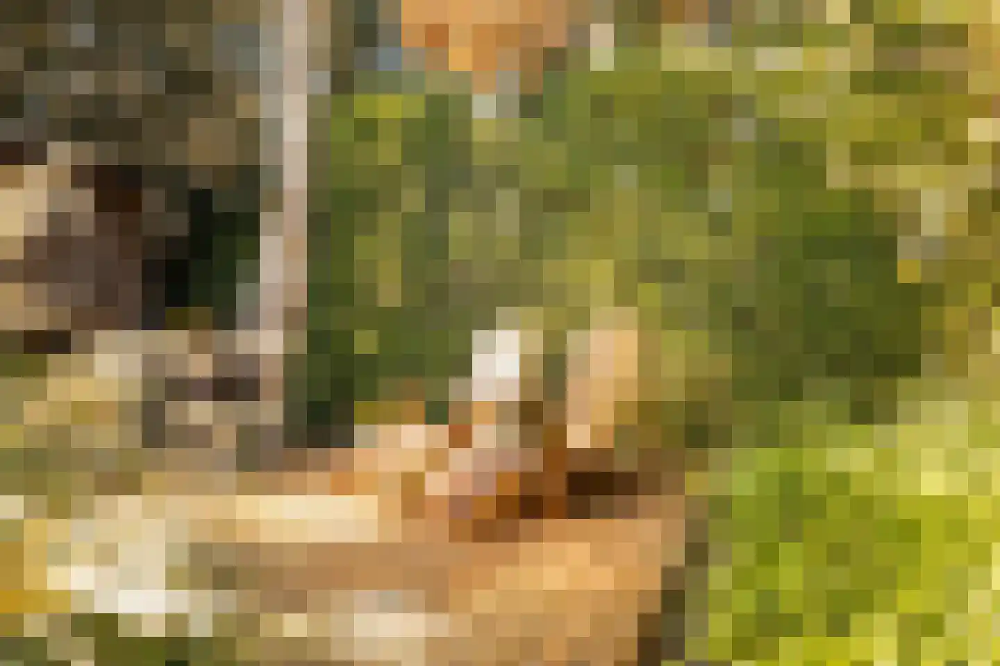 Graaf Janlaan 89 Zeist thumbnail 34