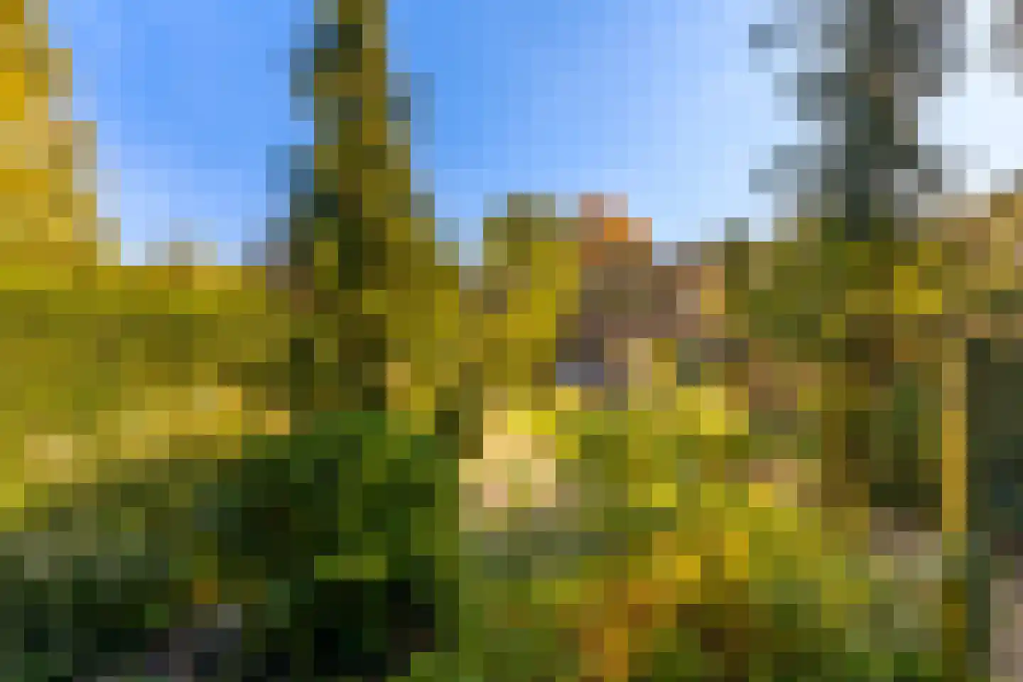 Graaf Janlaan 89 Zeist thumbnail 36
