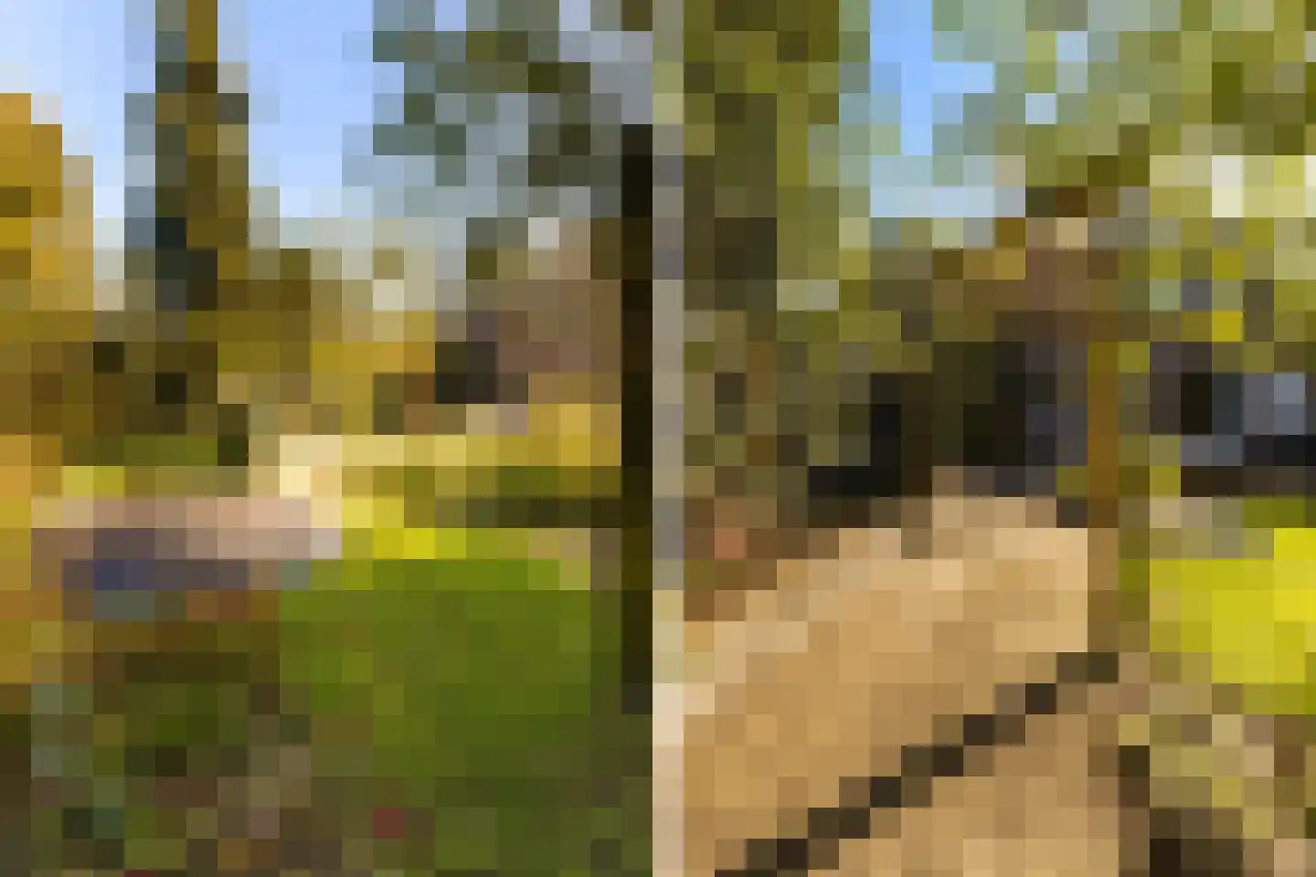 Graaf Janlaan 89 Zeist thumbnail 37