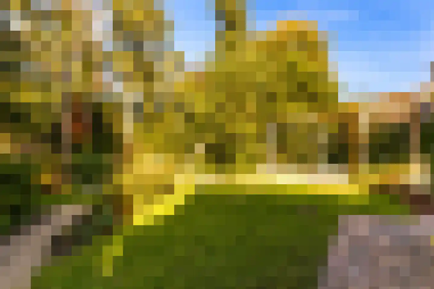 Graaf Janlaan 89 Zeist thumbnail 38