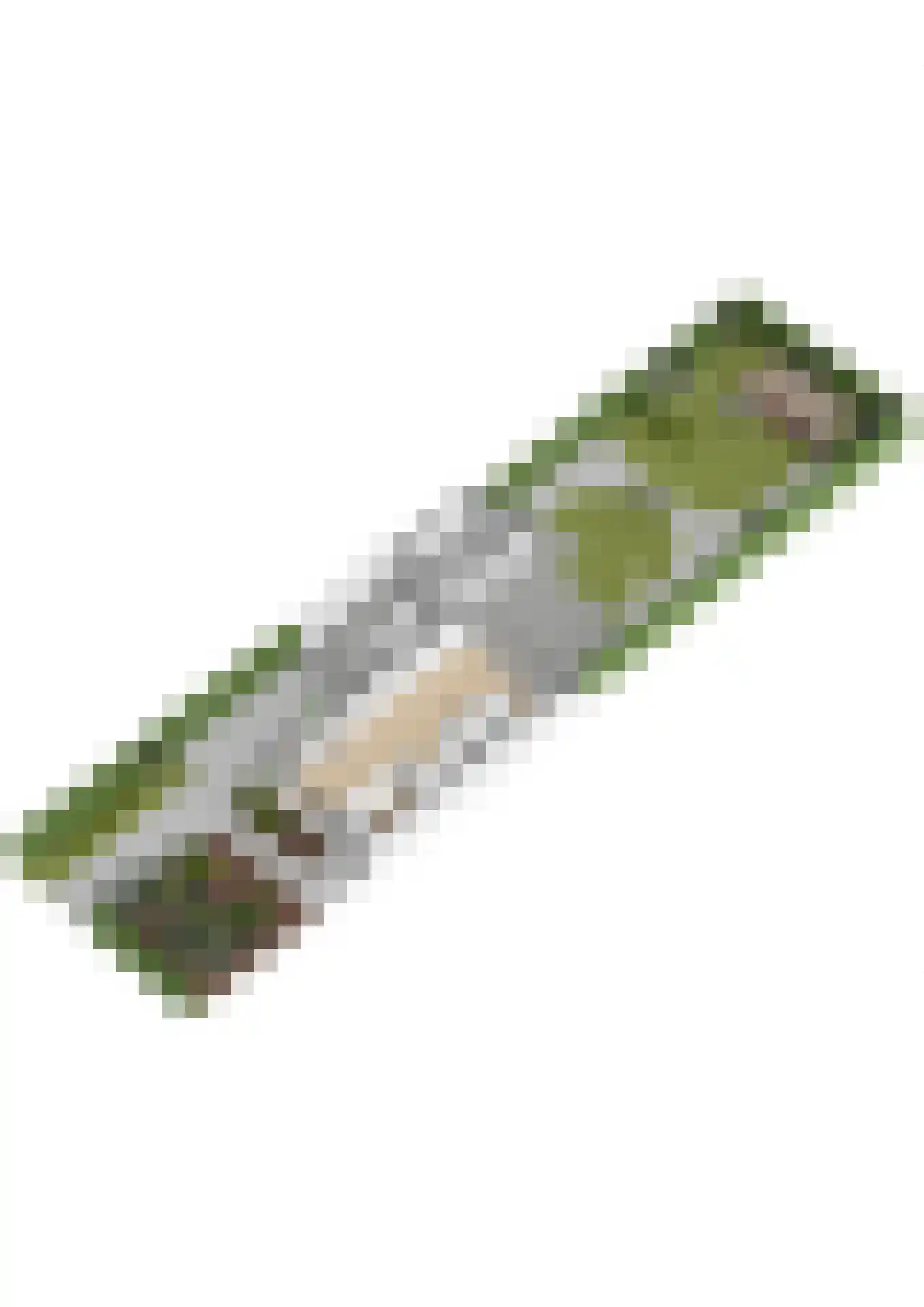 Graaf Janlaan 89 Zeist thumbnail 62