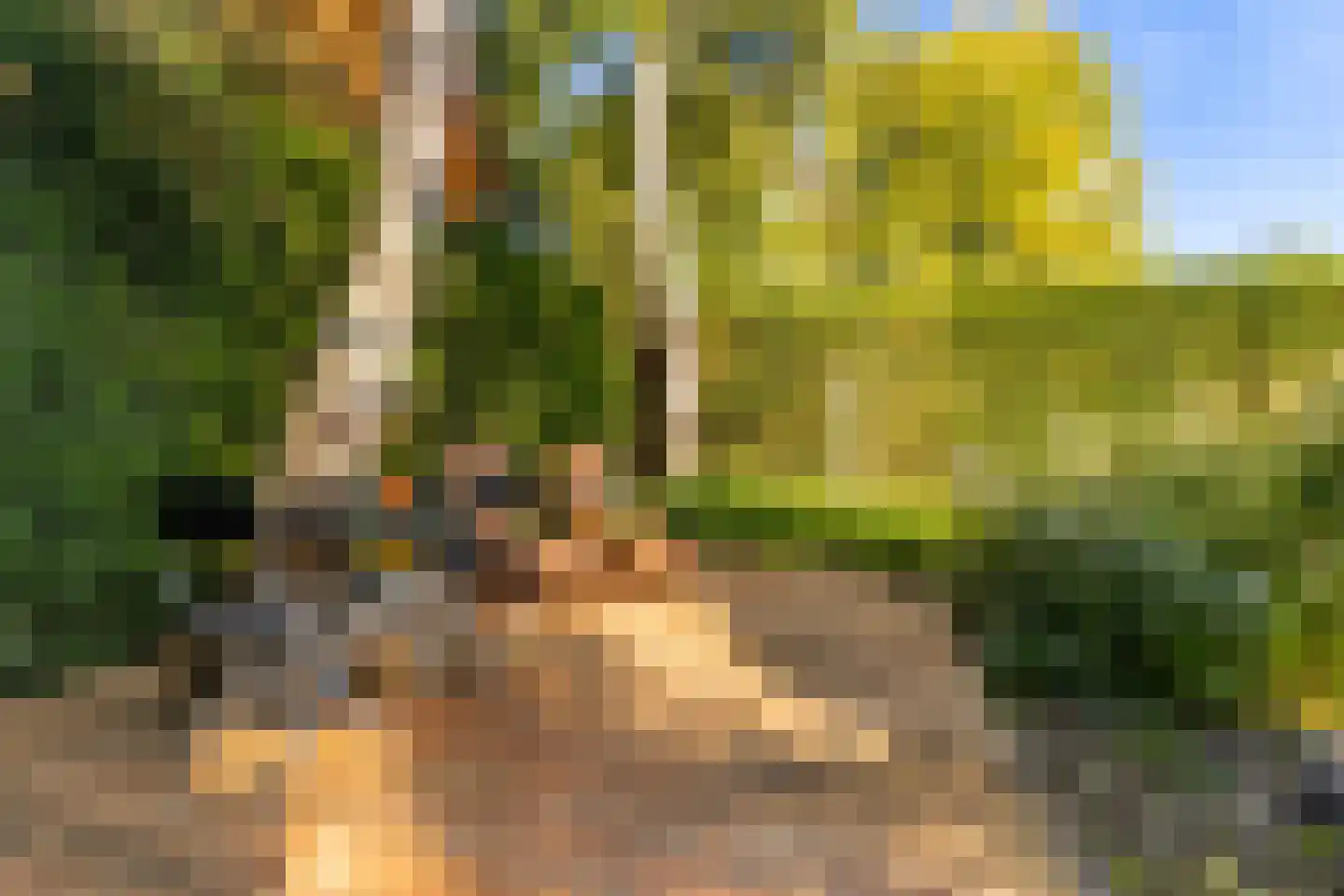 Graaf Janlaan 89 Zeist thumbnail 9