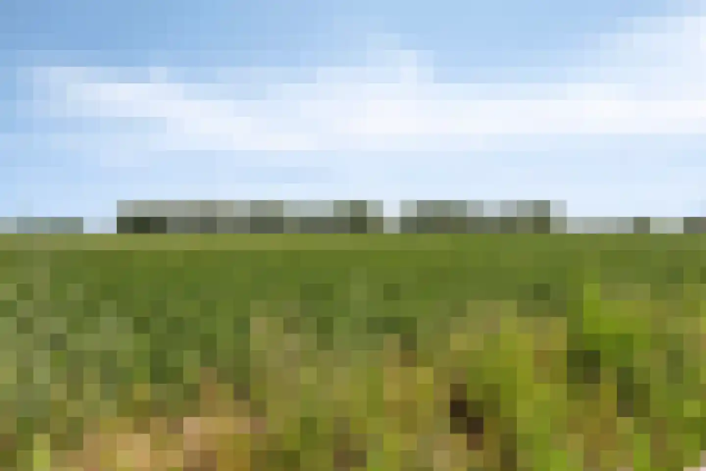 Graaf Jansdijk 36 Axel thumbnail 47