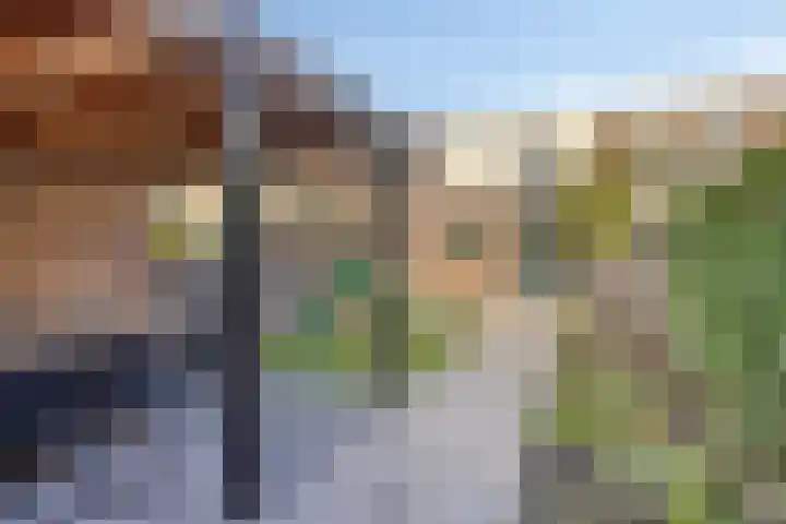 Graaf Jansdijk 88 Axel thumbnail 12