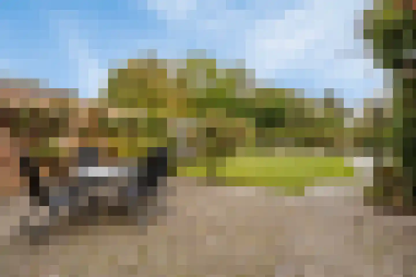 Graaf Jansdijk 88 Axel thumbnail 4