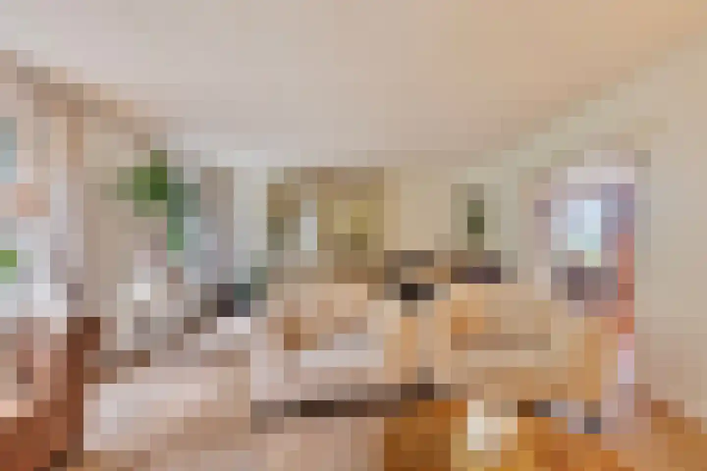 Graaf Jansdijk 98 Spui thumbnail 11