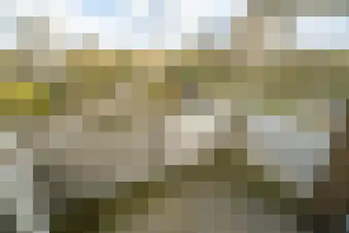 Graaf Janstraat 103 Zoetermeer thumbnail 10