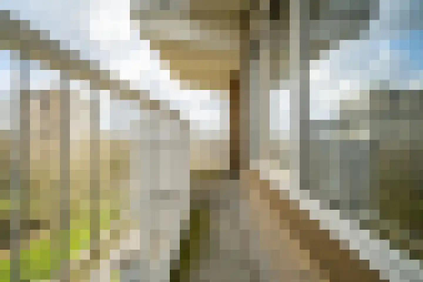 Graaf Janstraat 103 Zoetermeer thumbnail 11