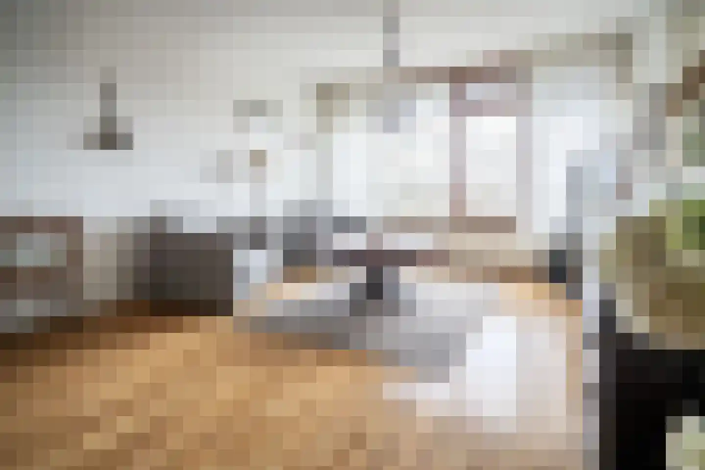 Graaf Janstraat 103 Zoetermeer thumbnail 14