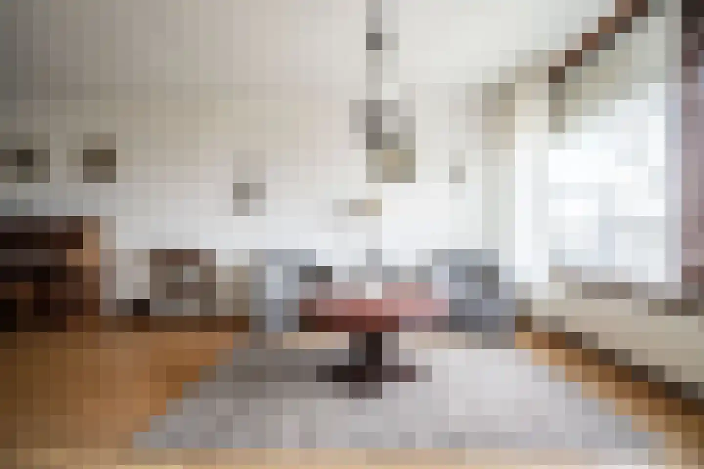 Graaf Janstraat 103 Zoetermeer thumbnail 15