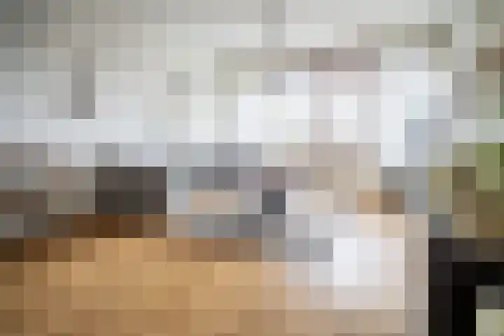 Graaf Janstraat 103 Zoetermeer thumbnail 16