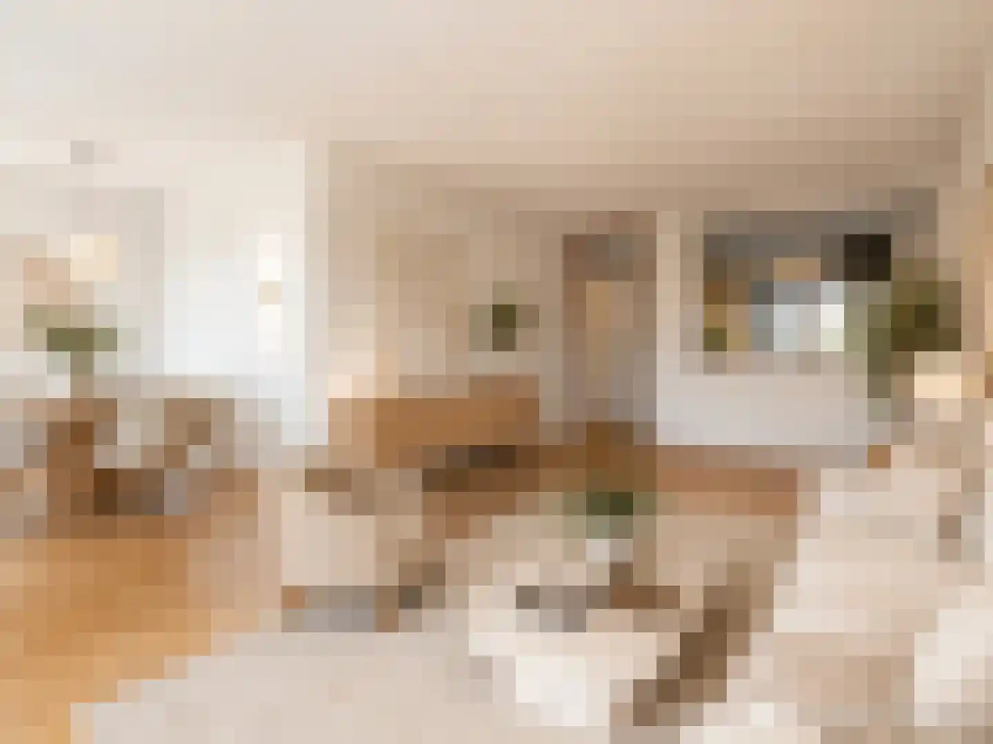 Graaf Janstraat 103 Zoetermeer thumbnail 18