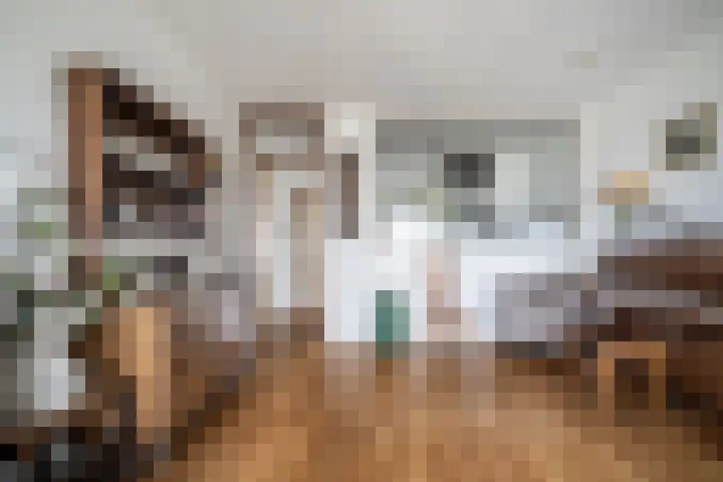 Graaf Janstraat 103 Zoetermeer thumbnail 21