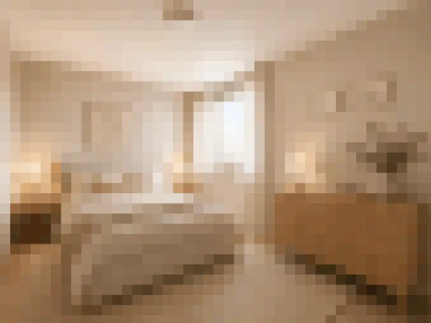 Graaf Janstraat 103 Zoetermeer thumbnail 31