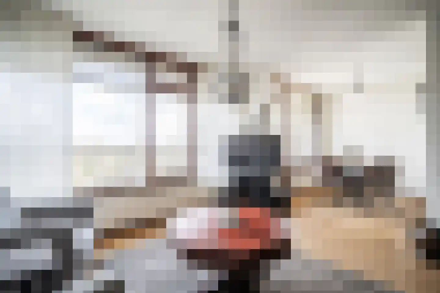 Graaf Janstraat 103 Zoetermeer thumbnail 4