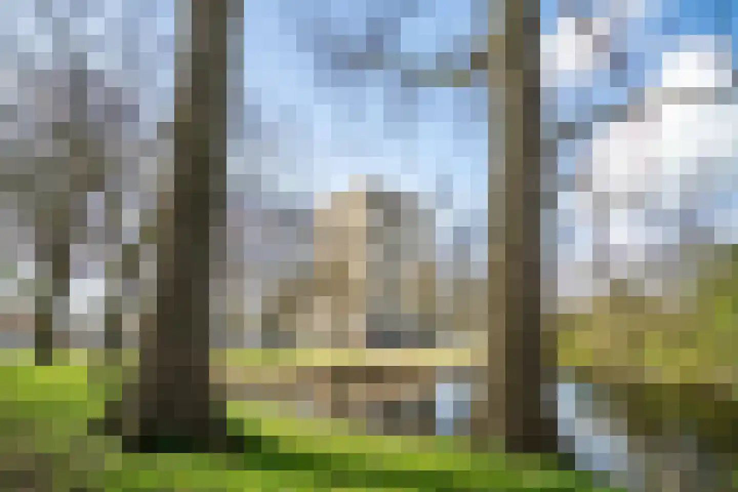 Graaf Janstraat 103 Zoetermeer thumbnail 42