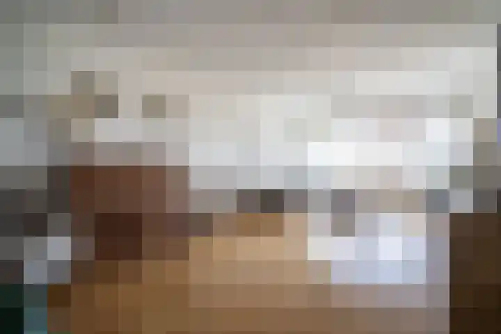 Graaf Janstraat 103 Zoetermeer thumbnail 5