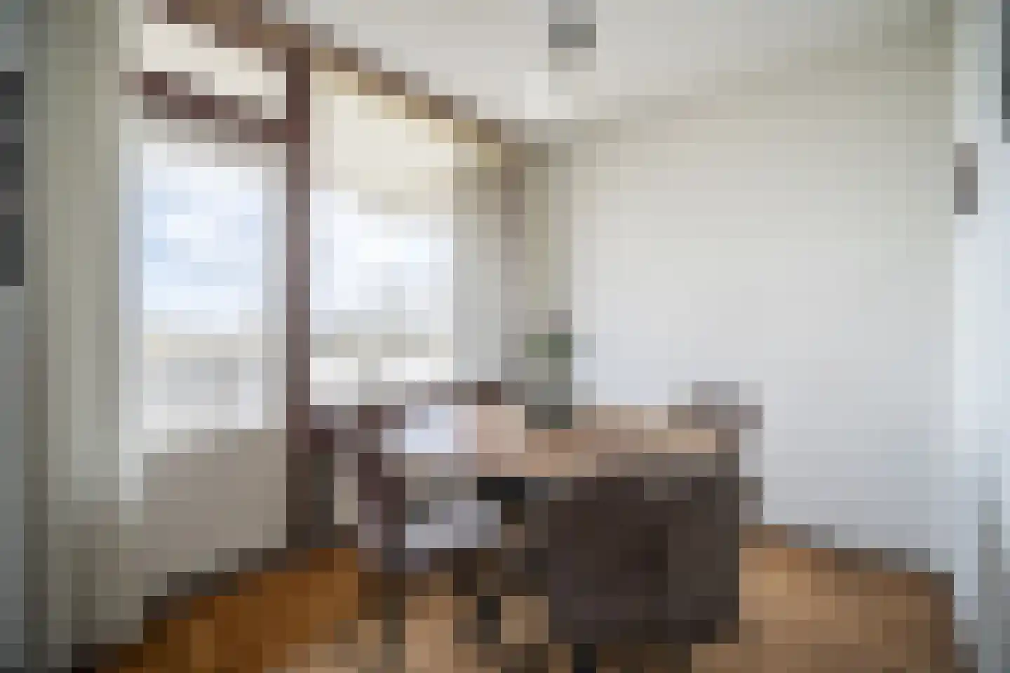 Graaf Janstraat 103 Zoetermeer thumbnail 6
