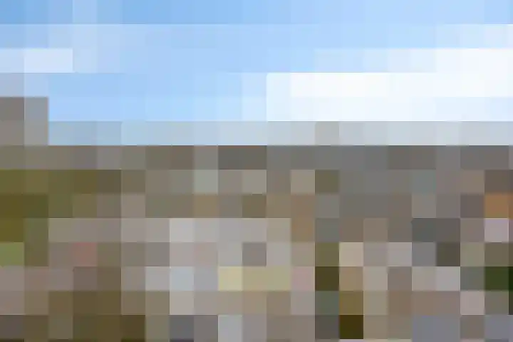 Graaf Janstraat 105 Zoetermeer thumbnail 5