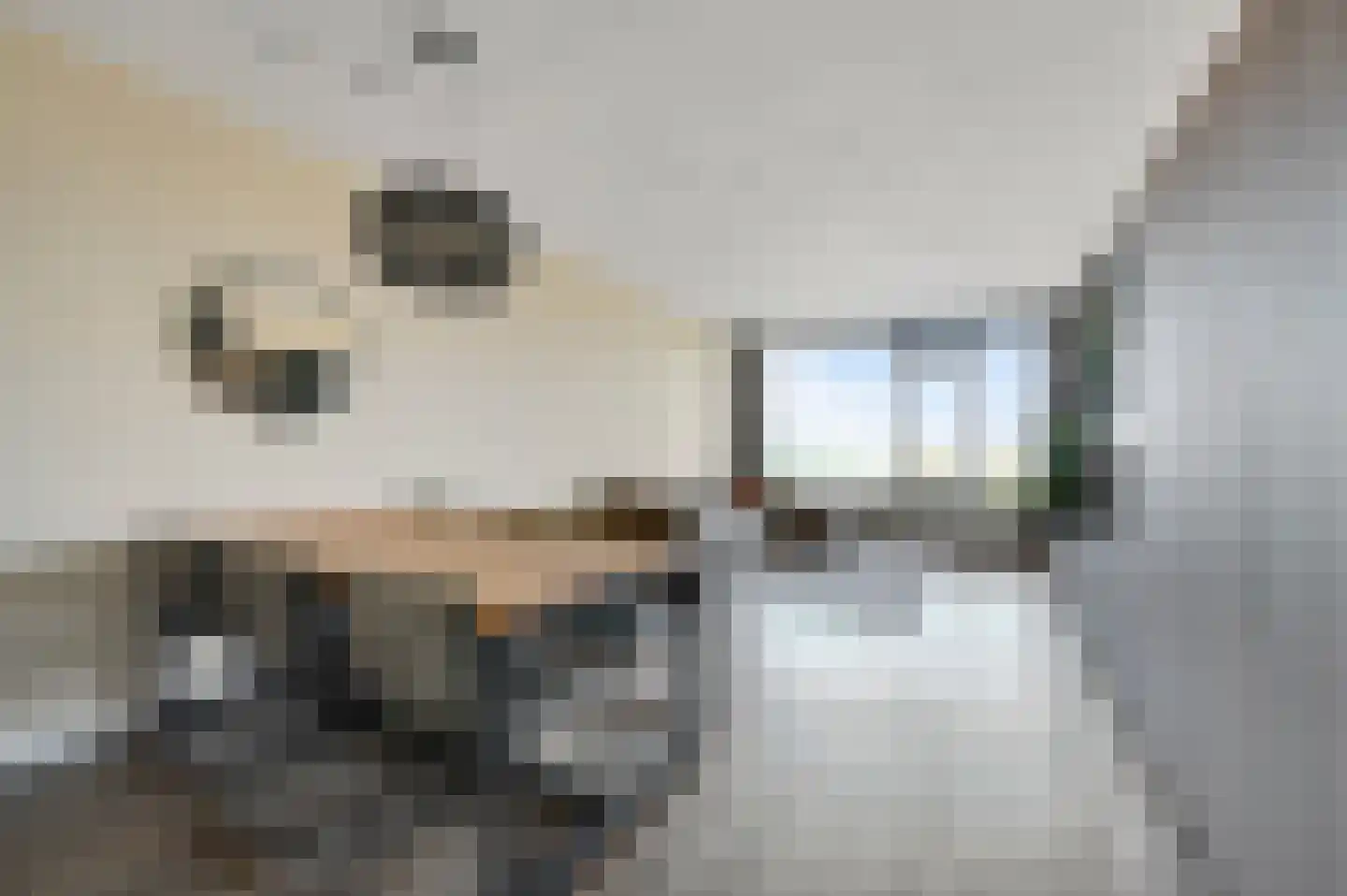 Graaf Janstraat 110 Zoetermeer thumbnail 10