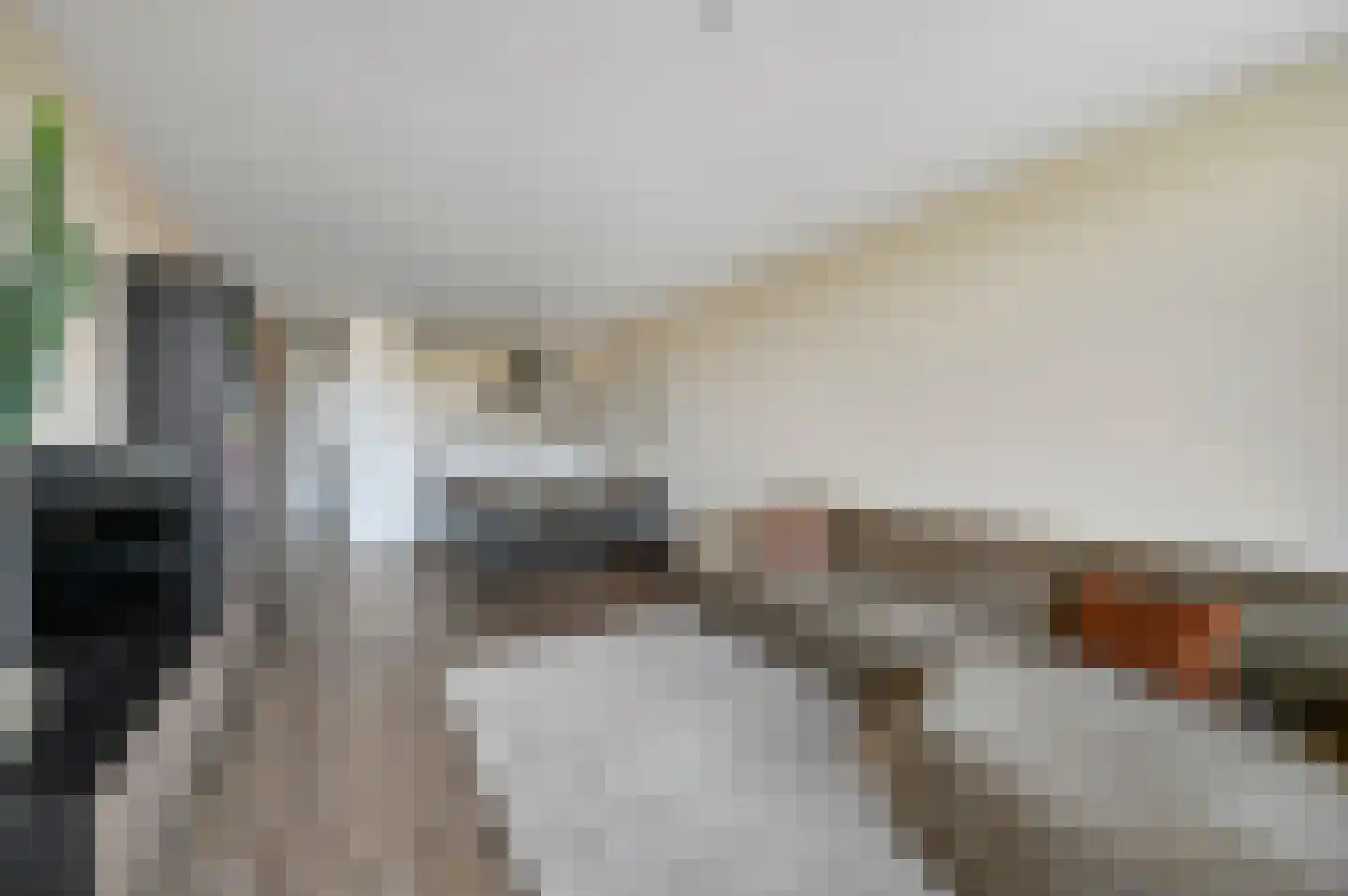 Graaf Janstraat 110 Zoetermeer thumbnail 13