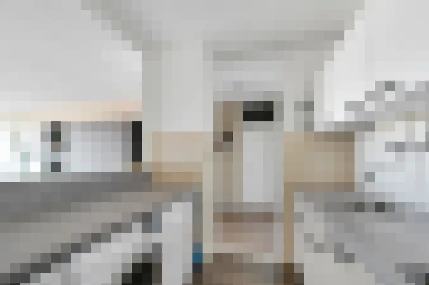 Graaf Janstraat 110 Zoetermeer thumbnail 16