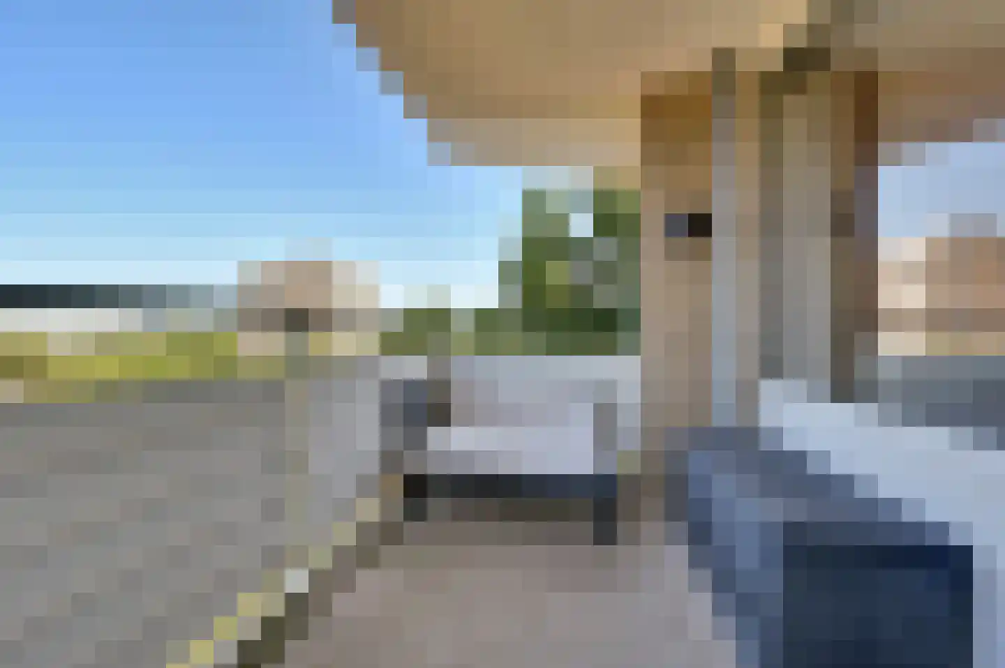 Graaf Janstraat 110 Zoetermeer thumbnail 23