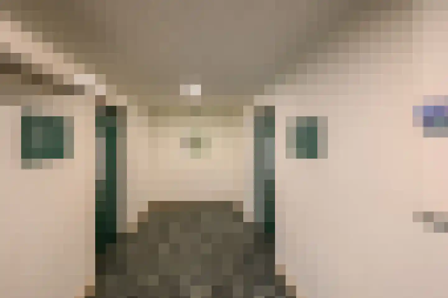 Graaf Janstraat 110 Zoetermeer thumbnail 5