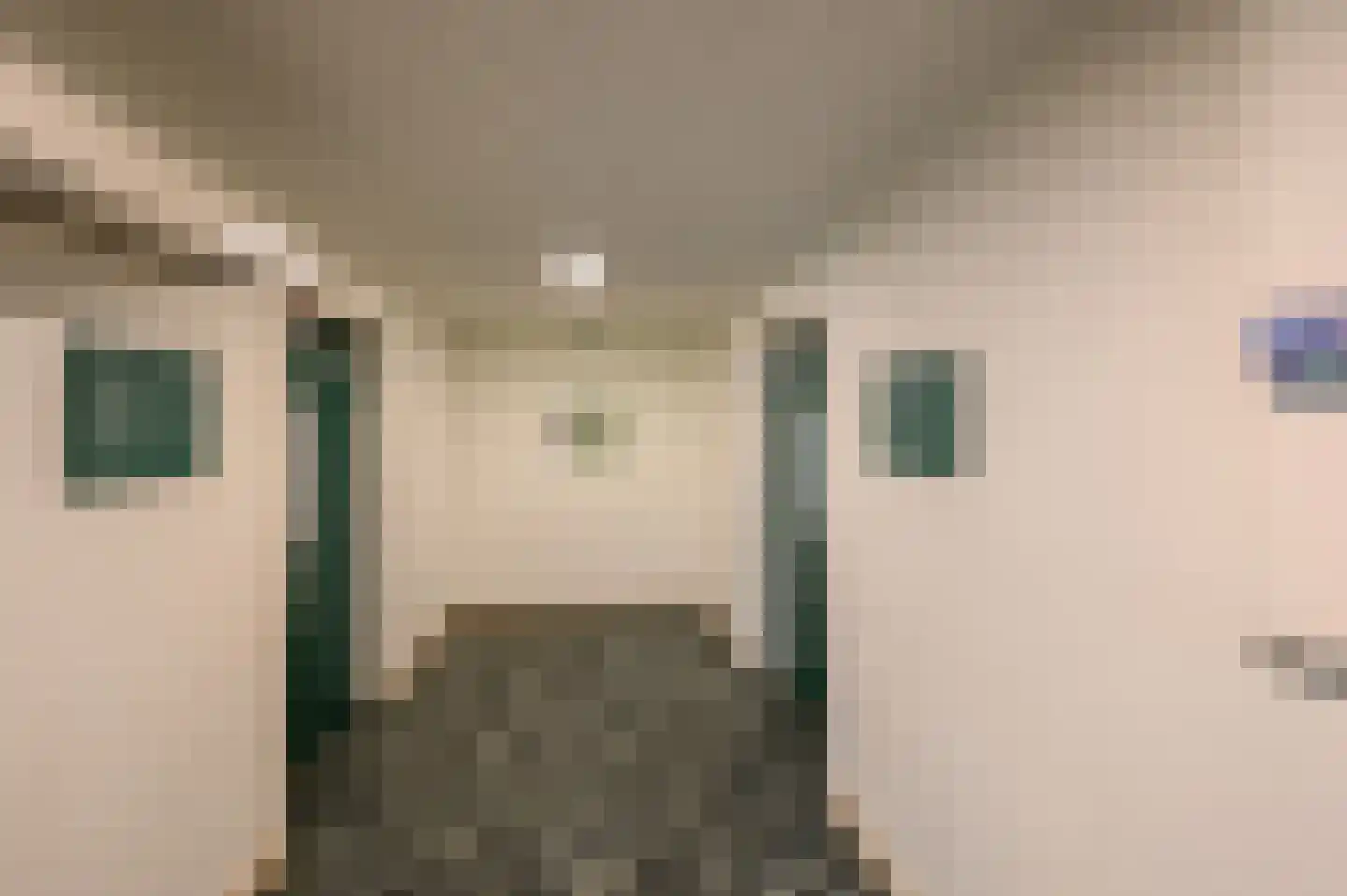 Graaf Janstraat 110 Zoetermeer thumbnail 5