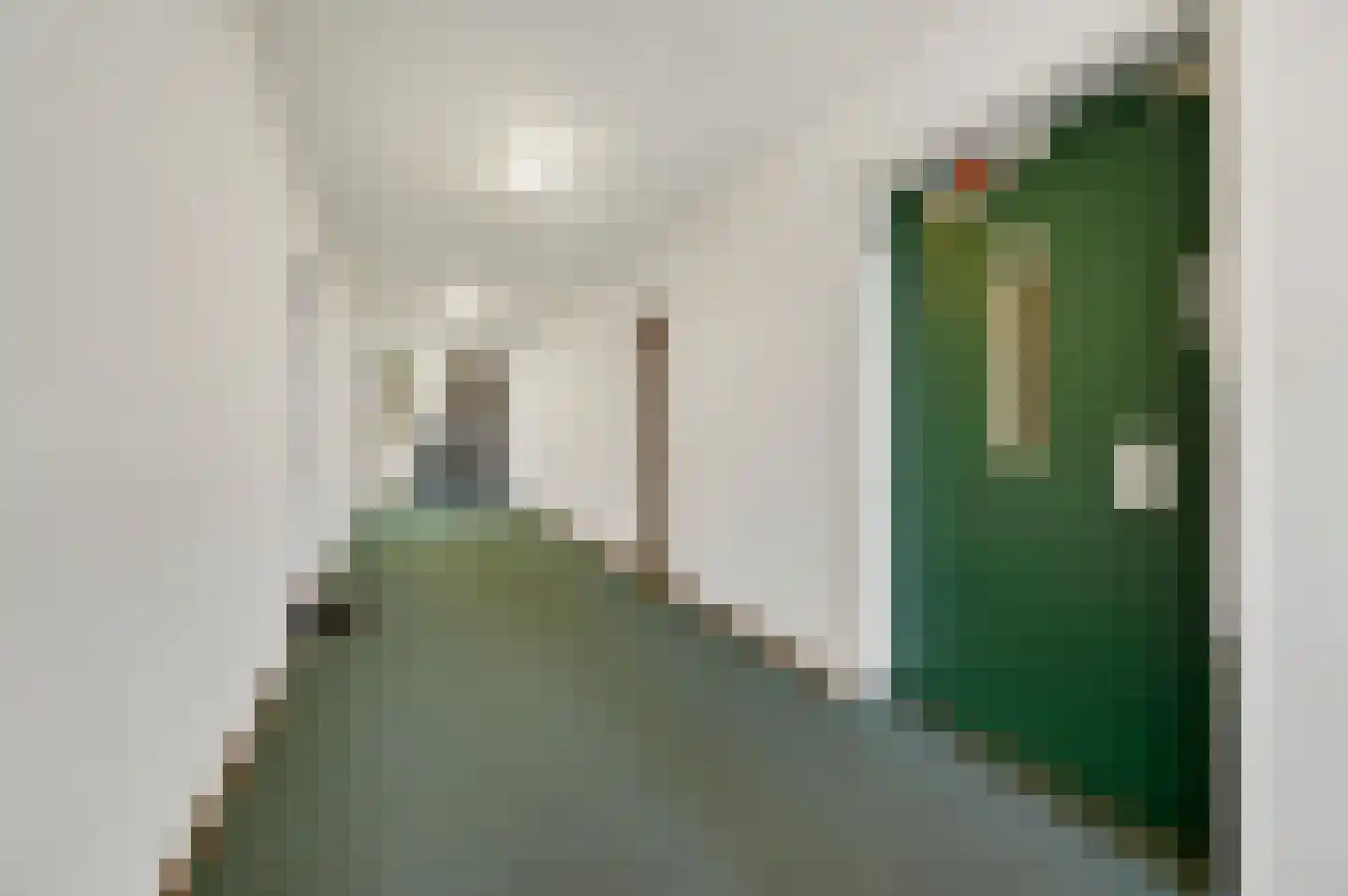 Graaf Janstraat 110 Zoetermeer thumbnail 6