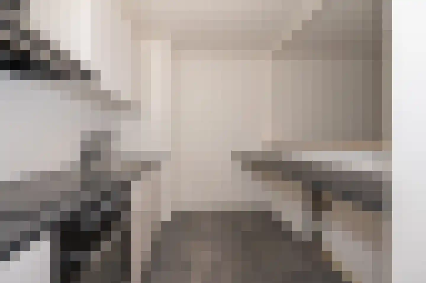 Graaf Janstraat 133 Zoetermeer thumbnail 6