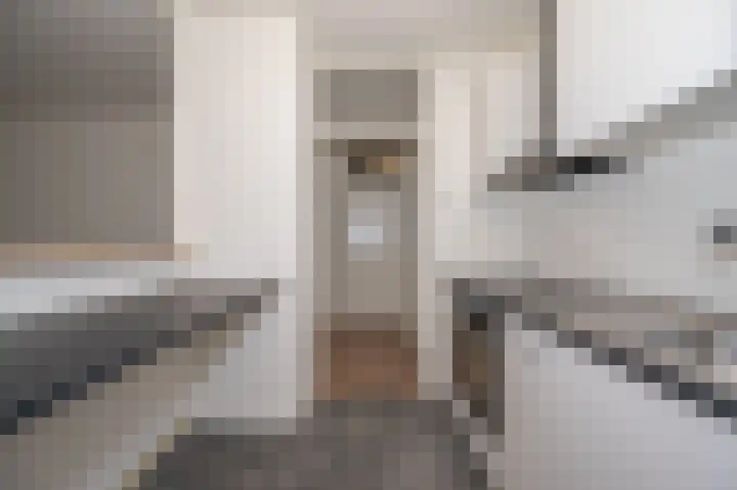 Graaf Janstraat 133 Zoetermeer thumbnail 7