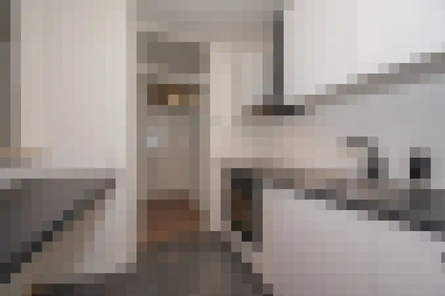 Graaf Janstraat 133 Zoetermeer thumbnail 8