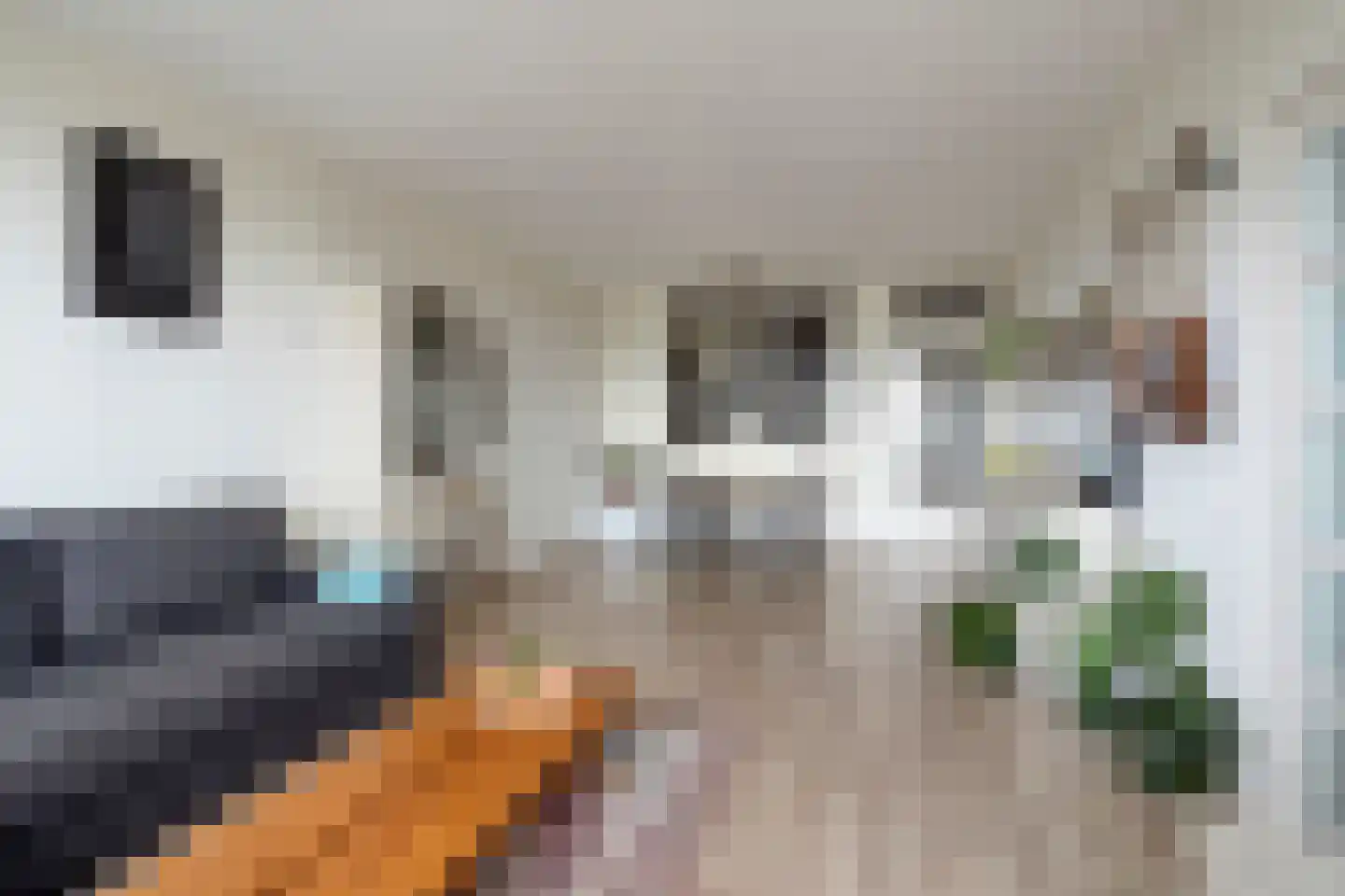 Graaf Janstraat 144 Zoetermeer thumbnail 18