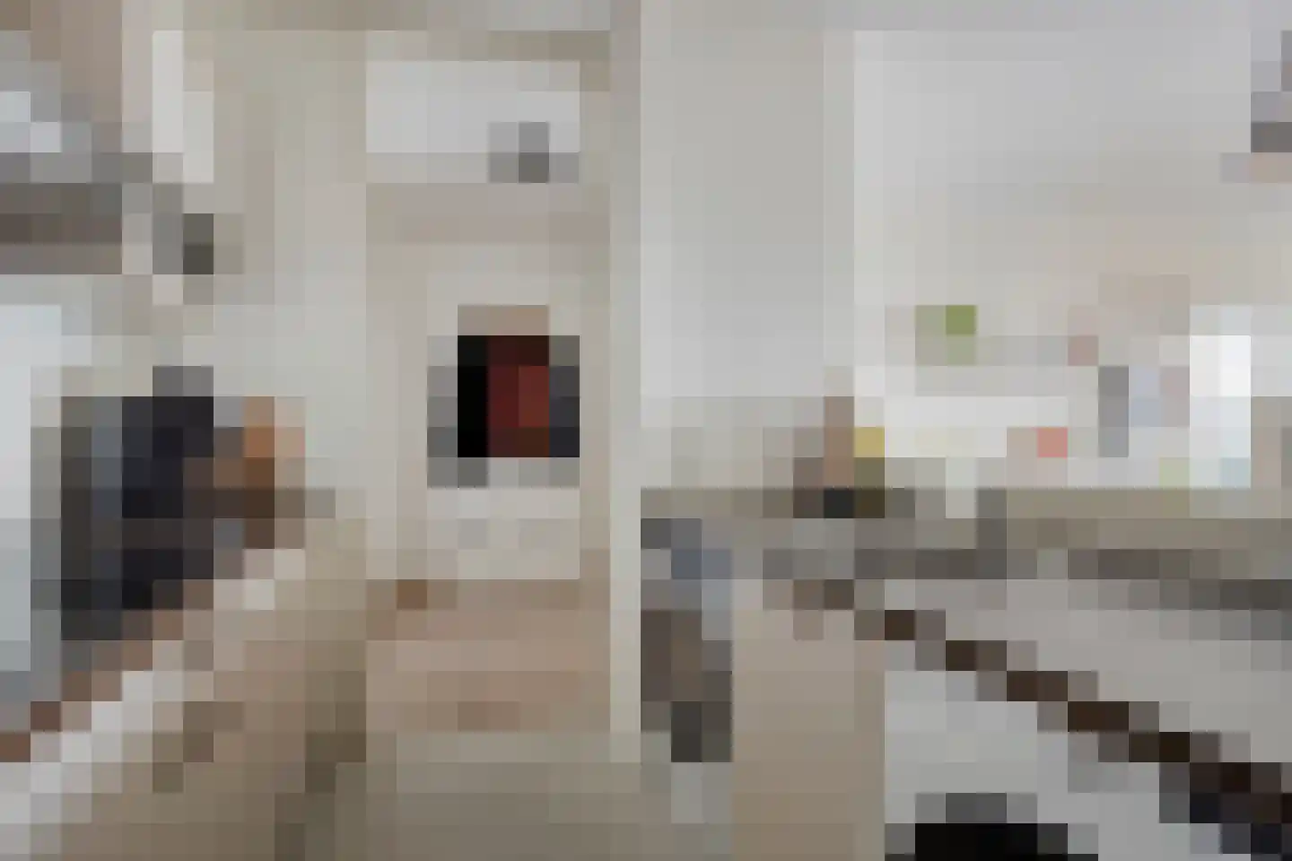 Graaf Janstraat 144 Zoetermeer thumbnail 21