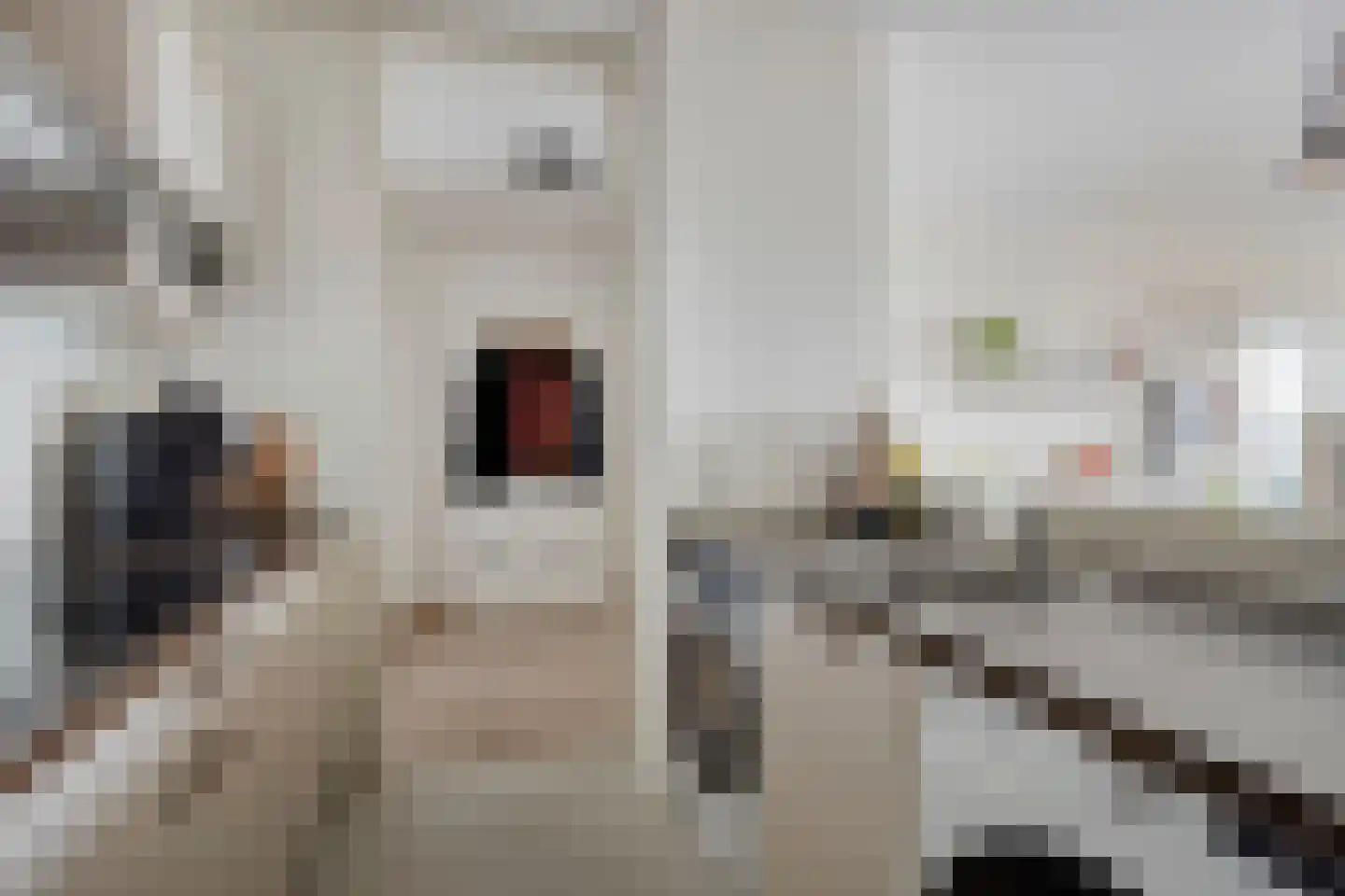 Graaf Janstraat 144 Zoetermeer thumbnail 21