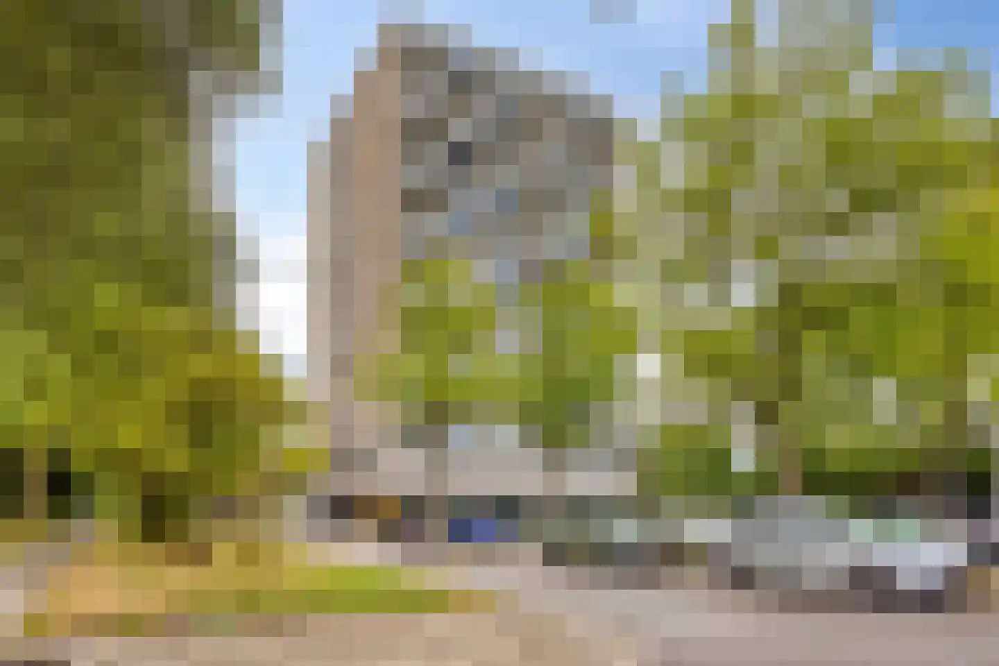 Graaf Janstraat 144 Zoetermeer thumbnail 6