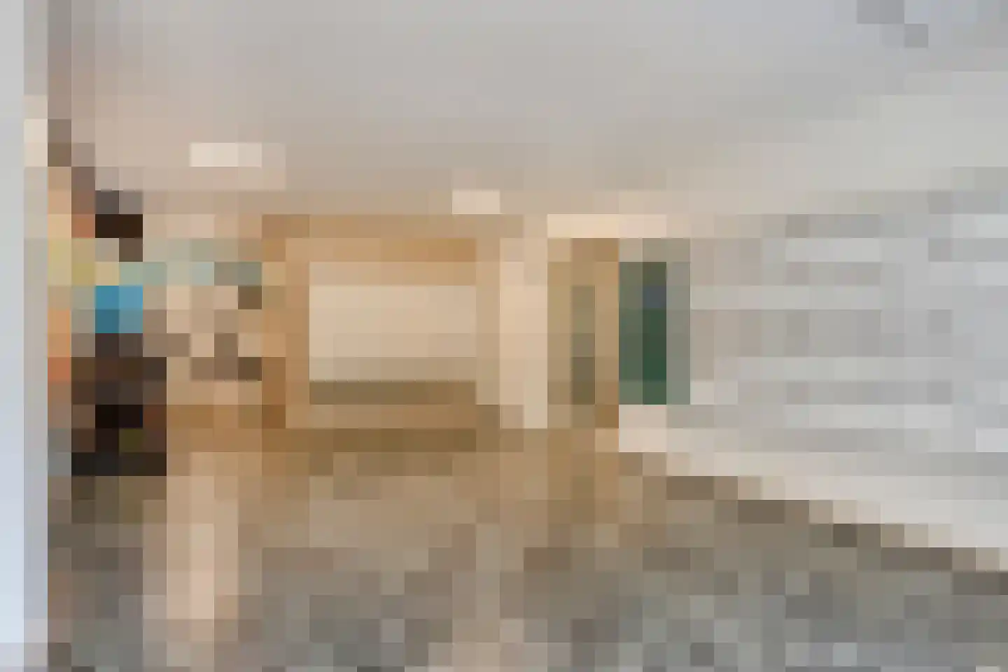 Graaf Janstraat 144 Zoetermeer thumbnail 9