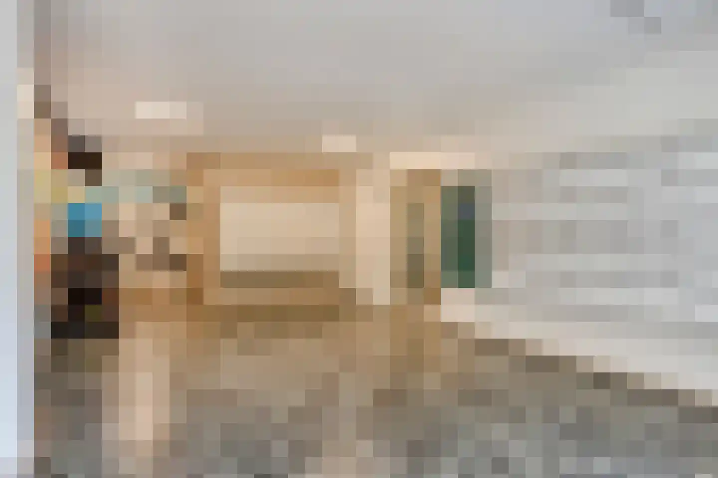 Graaf Janstraat 144 Zoetermeer thumbnail 9